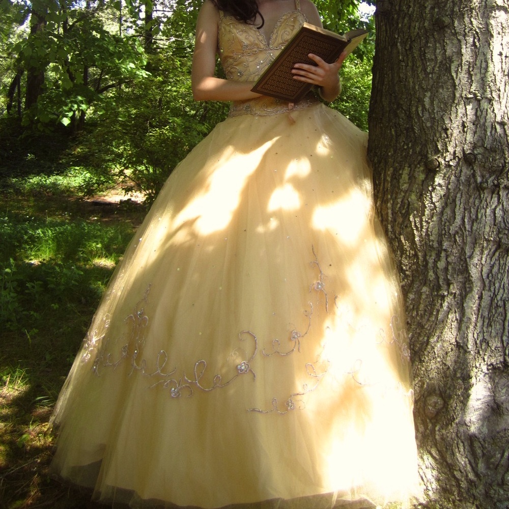 Belle dress/ gold ball gown